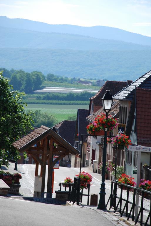 La Maison De Georges - Les Coquelicots Scharrachbergheim-Irmstett 객실 사진